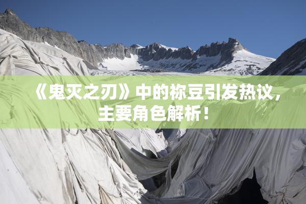 《鬼灭之刃》中的祢豆引发热议，主要角色解析！
