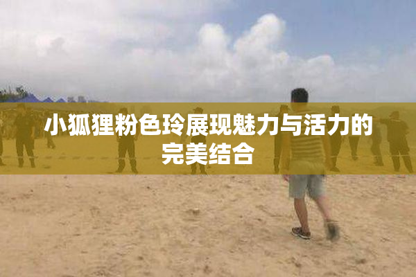 小狐狸粉色玲展现魅力与活力的完美结合