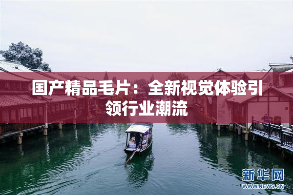 国产精品毛片：全新视觉体验引领行业潮流