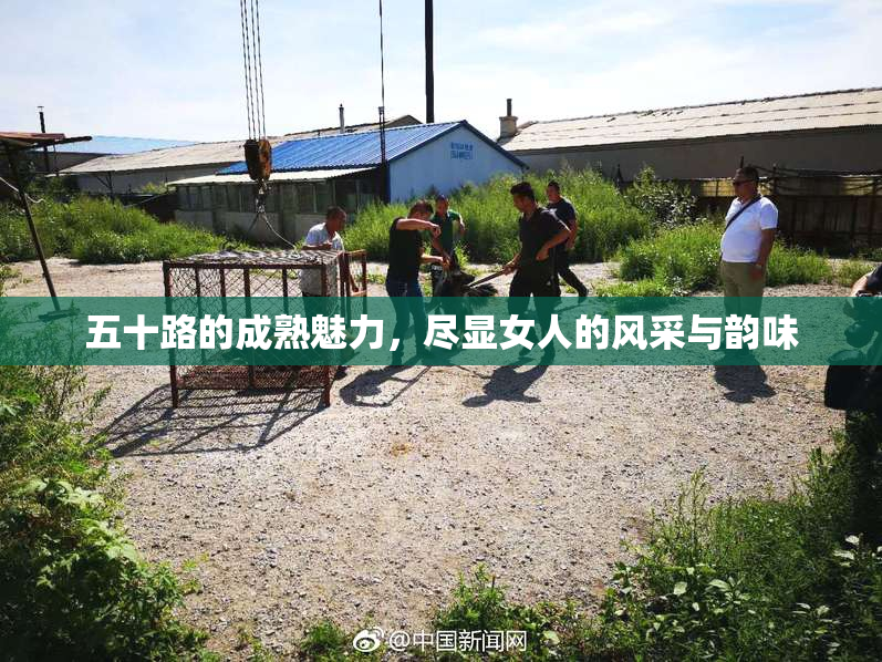 五十路的成熟魅力，尽显女人的风采与韵味