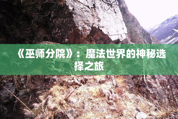 《巫师分院》：魔法世界的神秘选择之旅