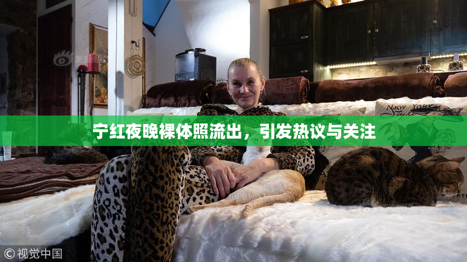 宁红夜晚裸体照流出，引发热议与关注