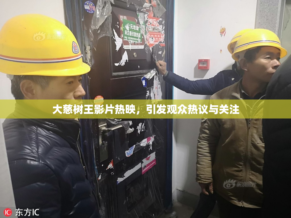 大慈树王影片热映，引发观众热议与关注
