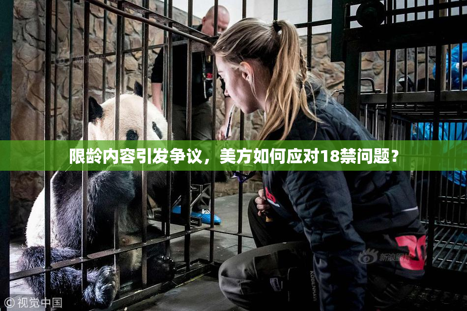 限龄内容引发争议，美方如何应对18禁问题？