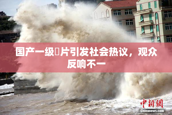 国产一级婬片引发社会热议，观众反响不一