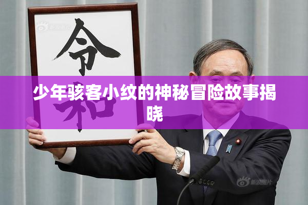 少年骇客小纹的神秘冒险故事揭晓