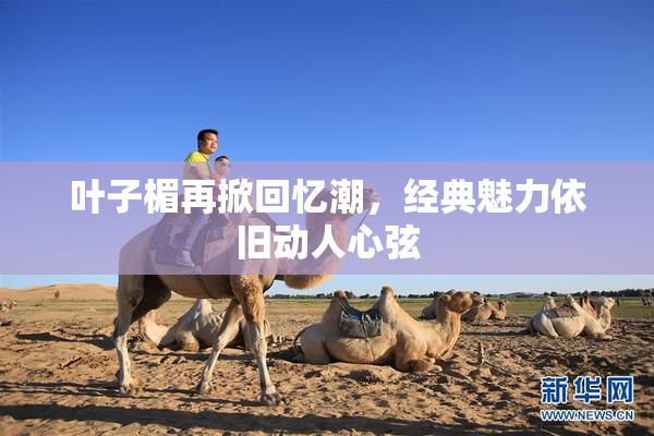 叶子楣再掀回忆潮，经典魅力依旧动人心弦