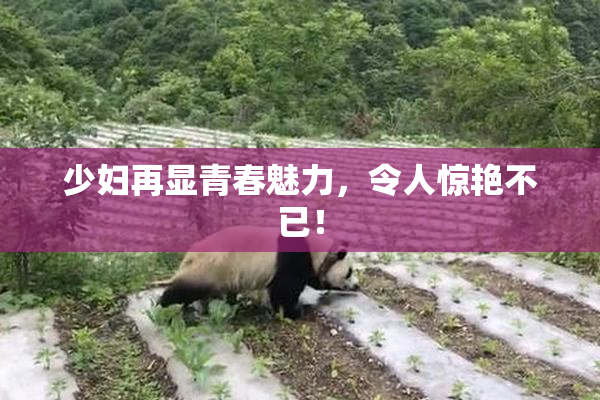 少妇再显青春魅力，令人惊艳不已！