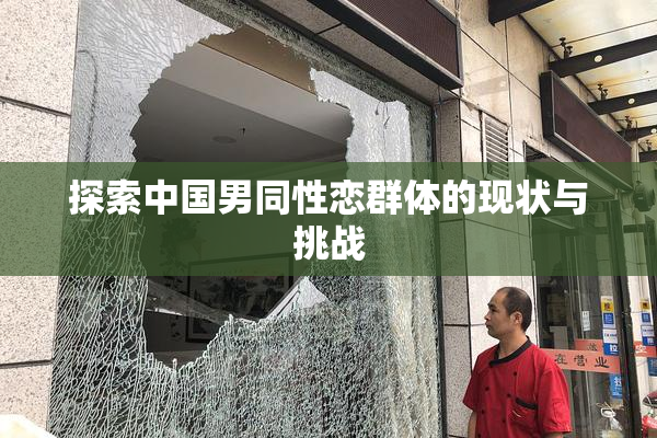 探索中国男同性恋群体的现状与挑战