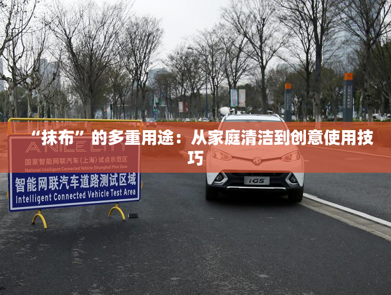 “抹布”的多重用途：从家庭清洁到创意使用技巧