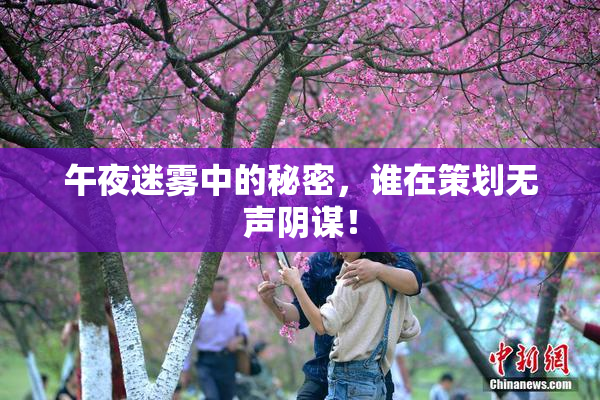 午夜迷雾中的秘密，谁在策划无声阴谋！