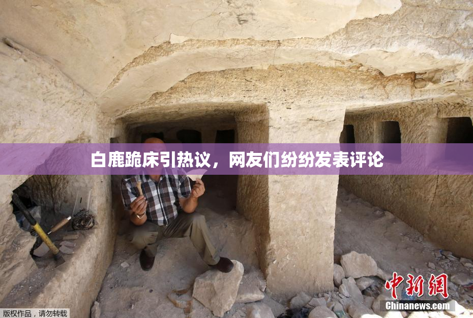 白鹿跪床引热议，网友们纷纷发表评论