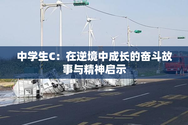 中学生C：在逆境中成长的奋斗故事与精神启示