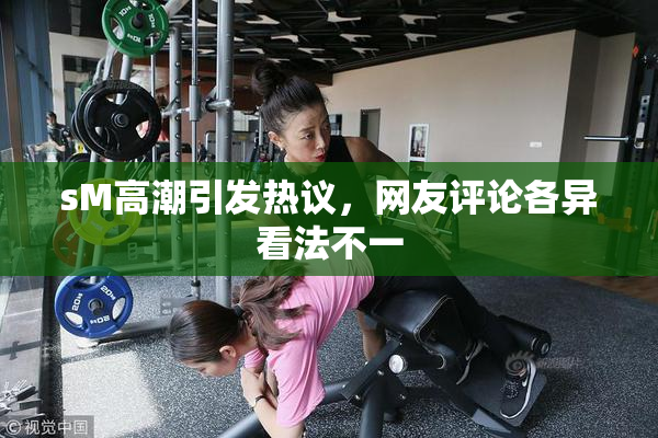 sM高潮引发热议，网友评论各异看法不一