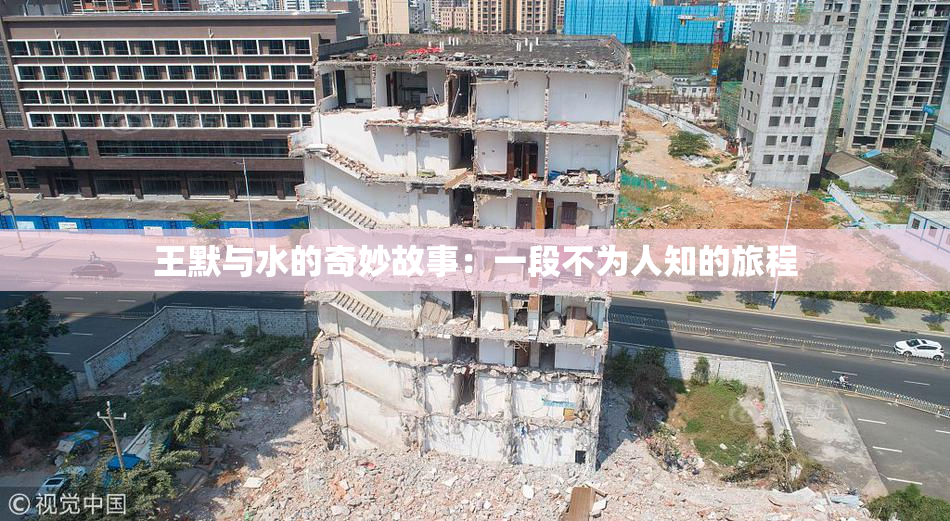 王默与水的奇妙故事：一段不为人知的旅程