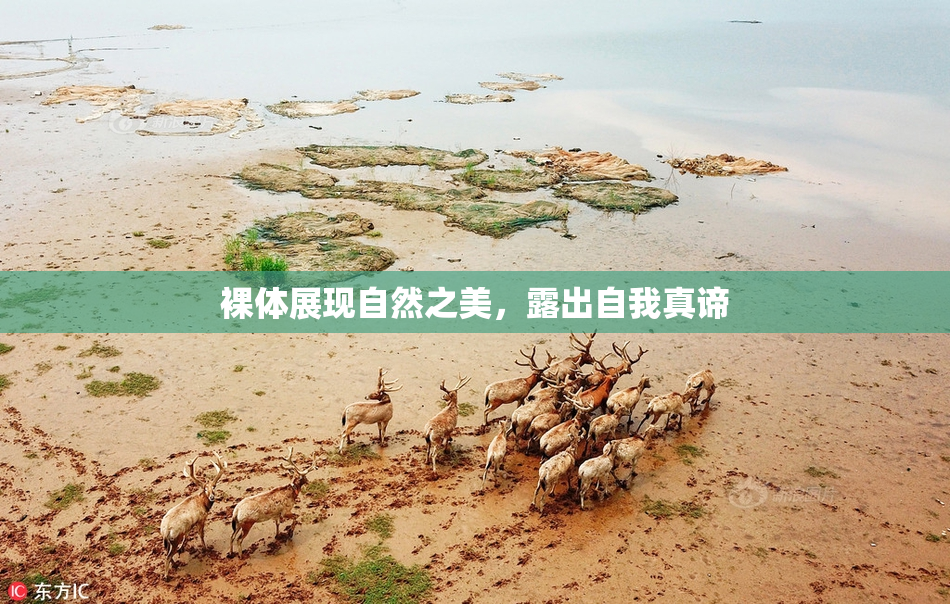 裸体展现自然之美，露出自我真谛