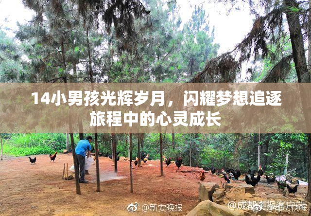 14小男孩光辉岁月，闪耀梦想追逐旅程中的心灵成长