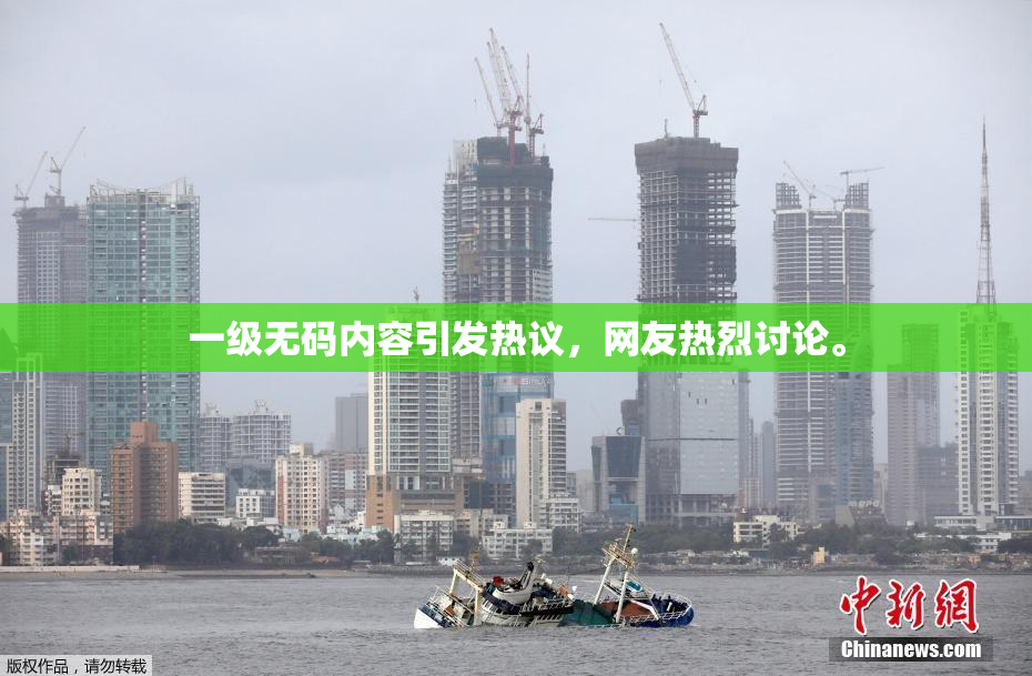 一级无码内容引发热议，网友热烈讨论。