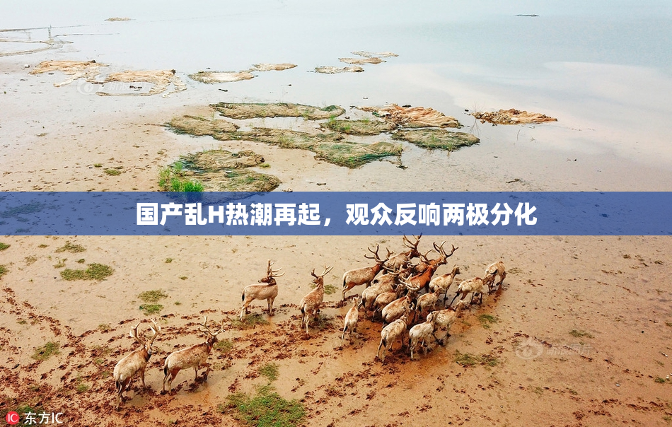 国产乱H热潮再起，观众反响两极分化