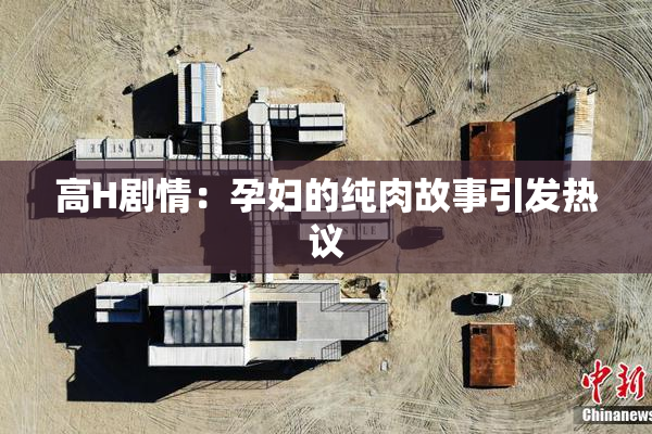 高H剧情：孕妇的纯肉故事引发热议