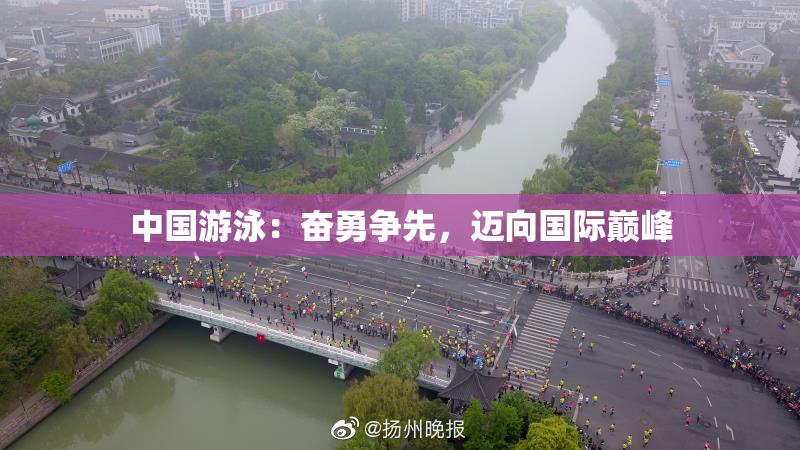 中国游泳：奋勇争先，迈向国际巅峰
