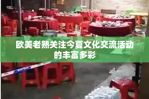 欧美老熟关注今夏文化交流活动的丰富多彩