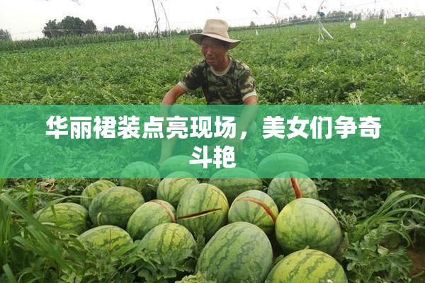 华丽裙装点亮现场，美女们争奇斗艳