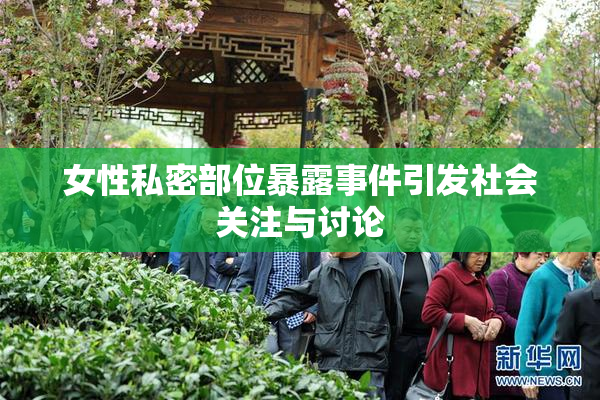 女性私密部位暴露事件引发社会关注与讨论