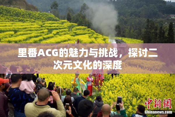 里番ACG的魅力与挑战，探讨二次元文化的深度