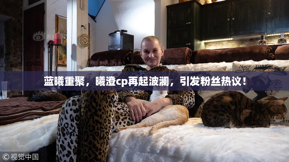 蓝曦重聚，曦澄cp再起波澜，引发粉丝热议！