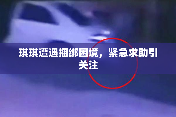 琪琪遭遇捆绑困境，紧急求助引关注