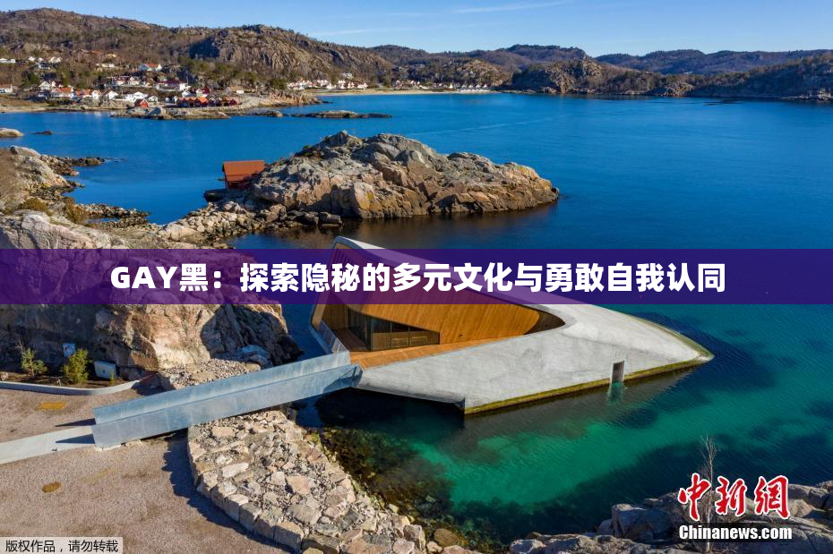 GAY黑：探索隐秘的多元文化与勇敢自我认同