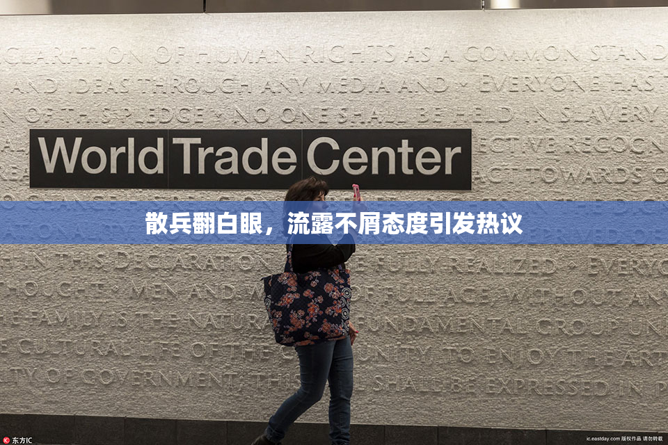 散兵翻白眼，流露不屑态度引发热议