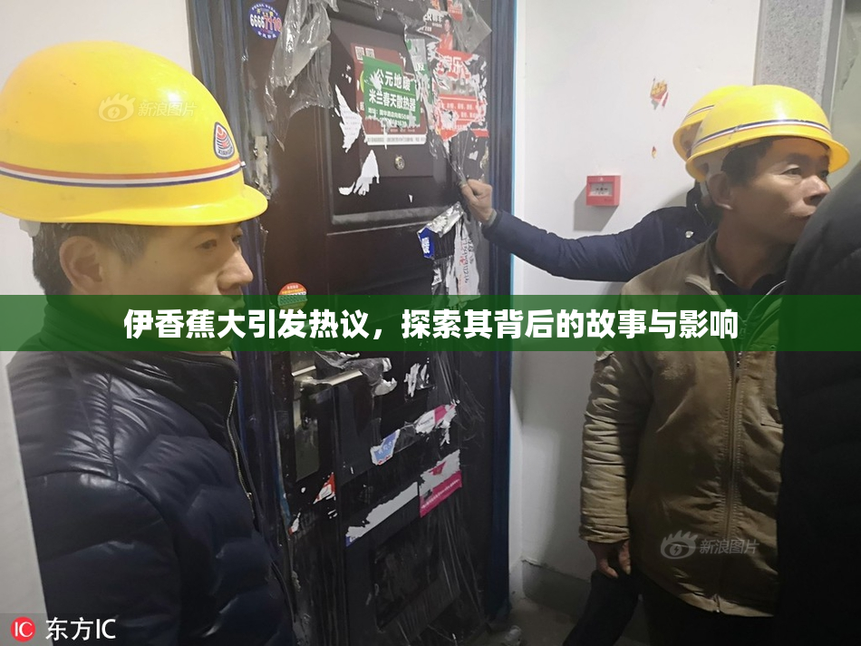 伊香蕉大引发热议，探索其背后的故事与影响