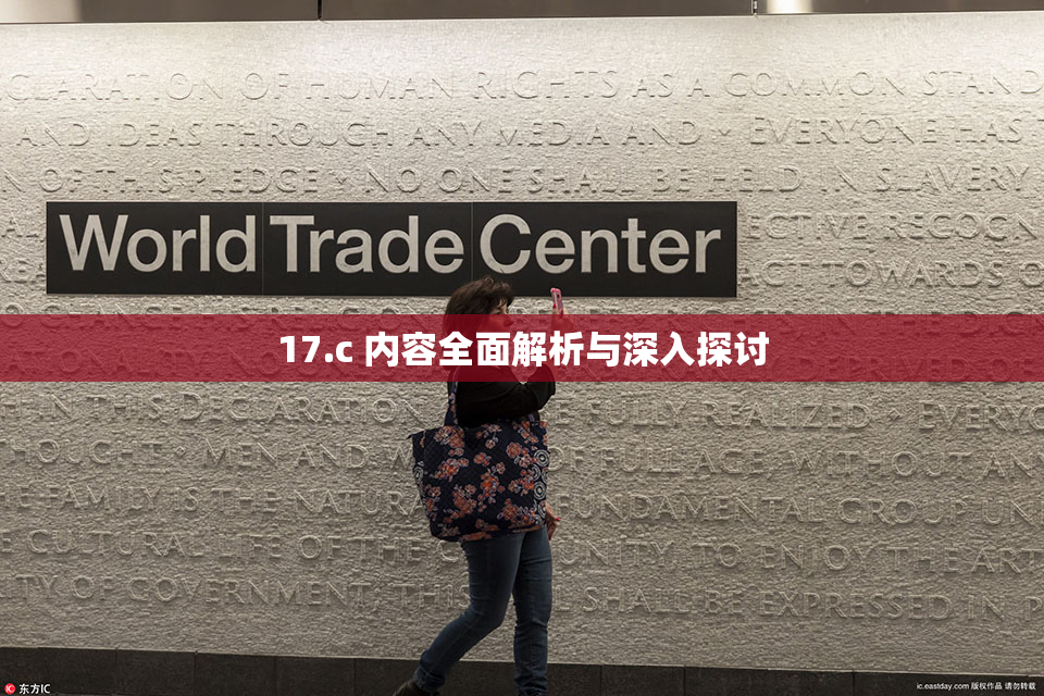 17.c 内容全面解析与深入探讨