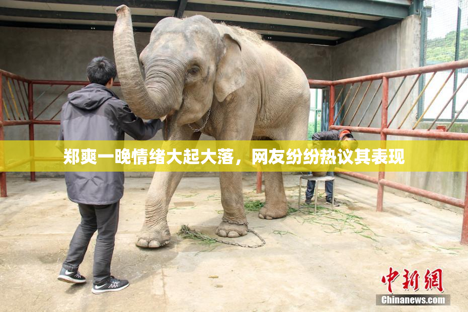 郑爽一晚情绪大起大落，网友纷纷热议其表现