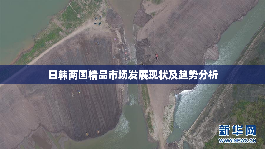 日韩两国精品市场发展现状及趋势分析