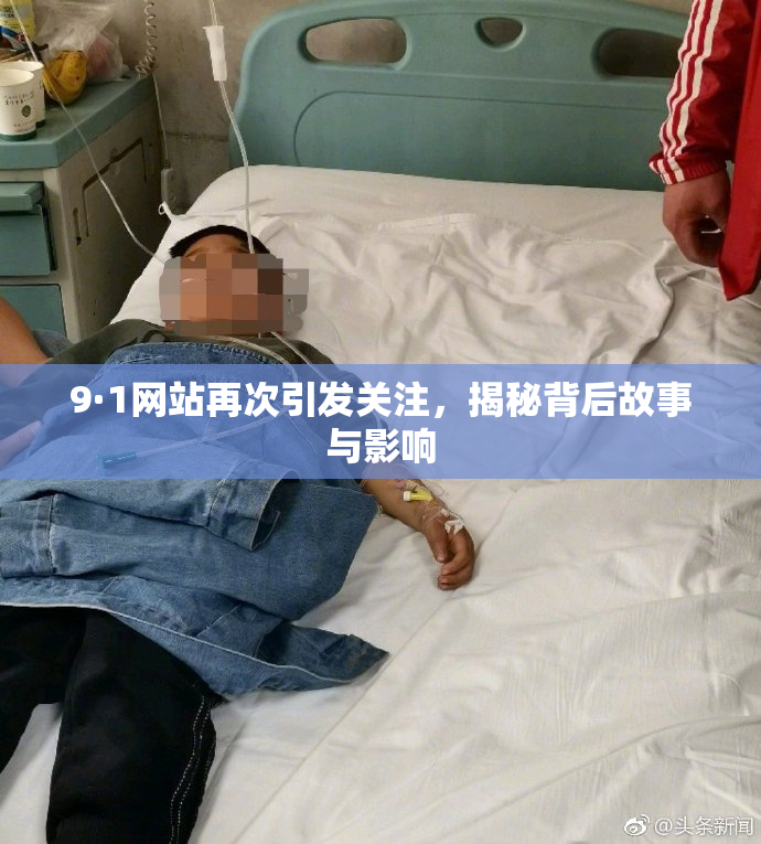 9·1网站再次引发关注，揭秘背后故事与影响