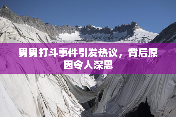 男男打斗事件引发热议，背后原因令人深思