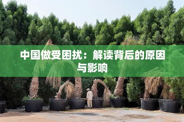 中国做受困扰：解读背后的原因与影响