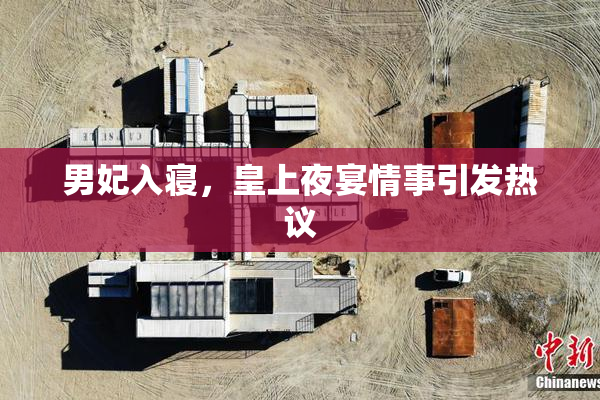 男妃入寝，皇上夜宴情事引发热议