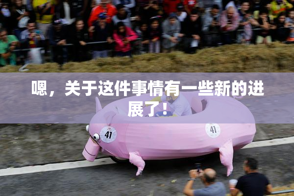 嗯，关于这件事情有一些新的进展了！