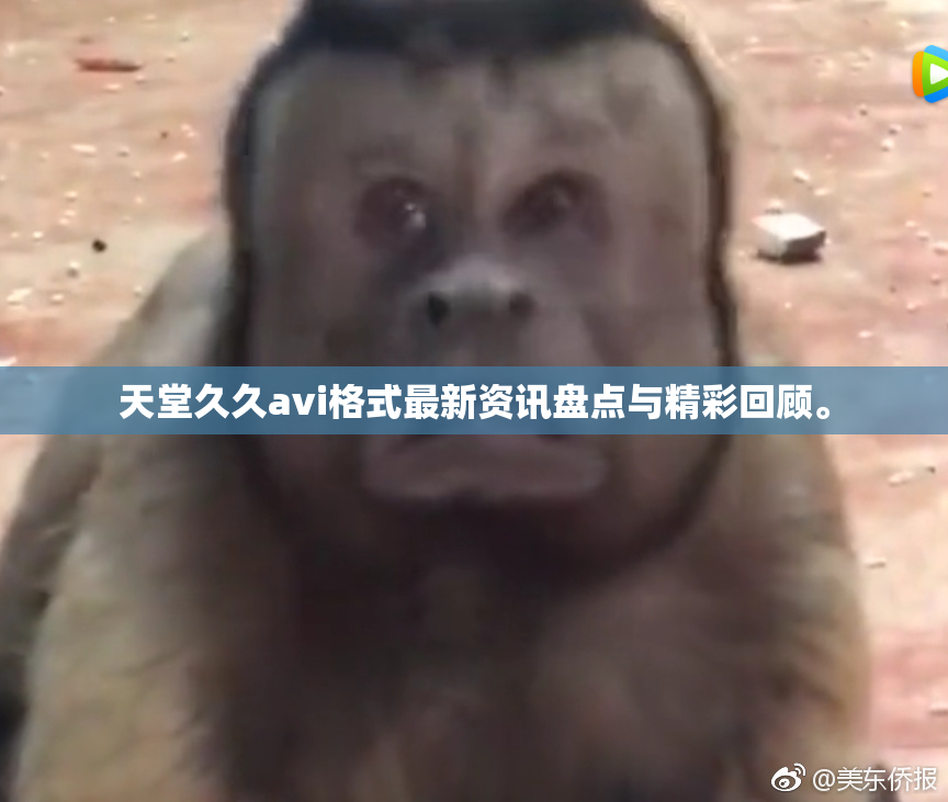 天堂久久avi格式最新资讯盘点与精彩回顾。