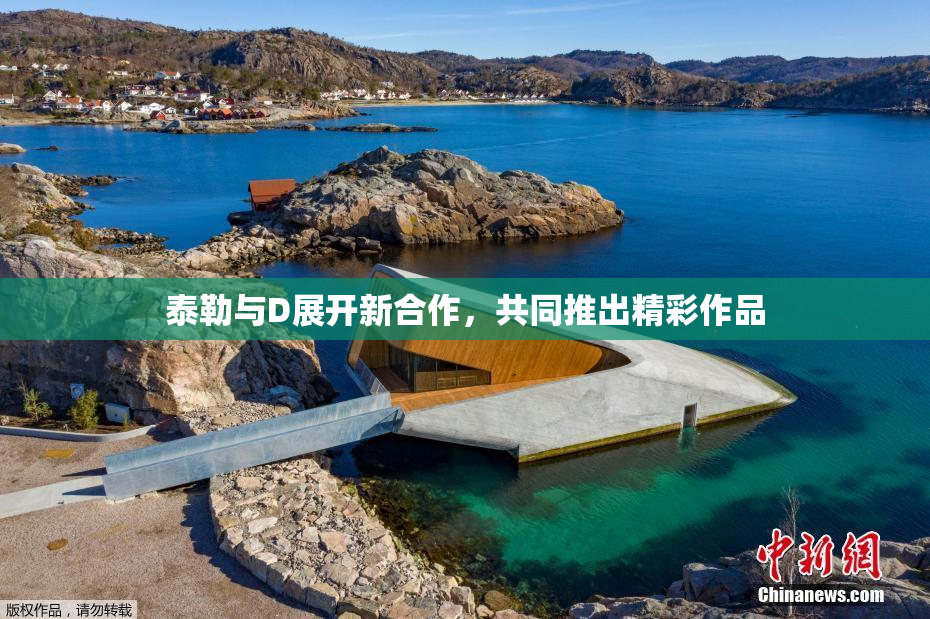 泰勒与D展开新合作，共同推出精彩作品
