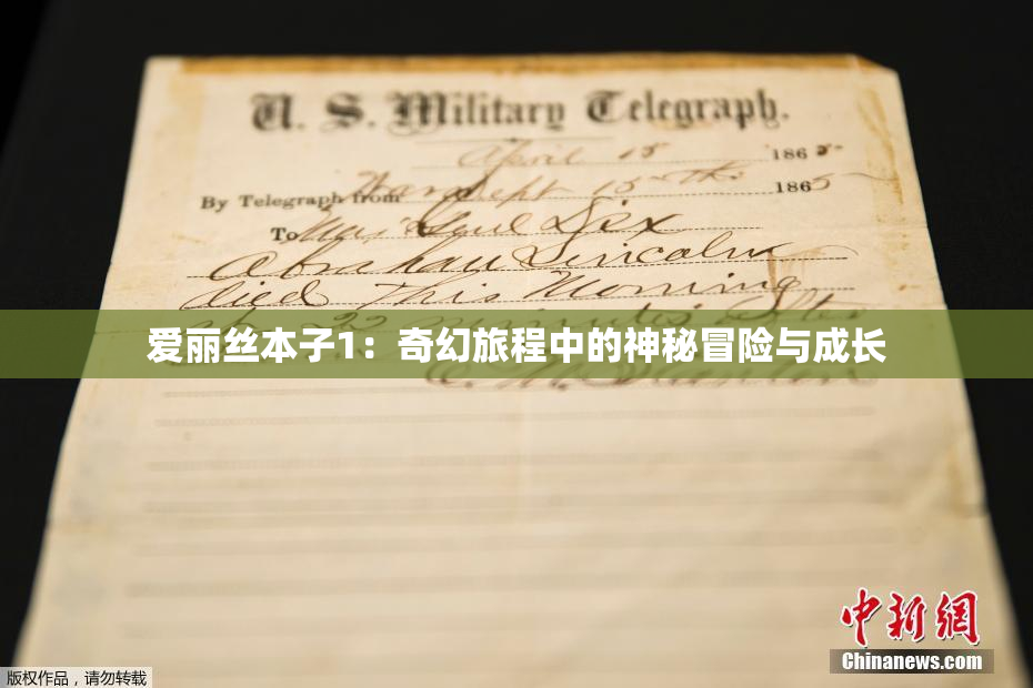 爱丽丝本子1：奇幻旅程中的神秘冒险与成长