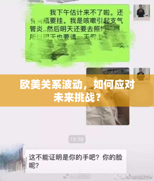 欧美关系波动，如何应对未来挑战？