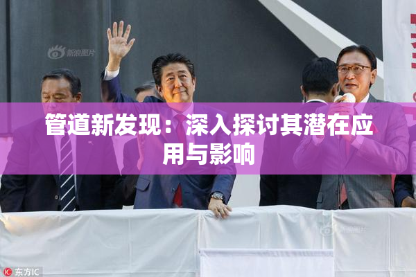 管道新发现：深入探讨其潜在应用与影响