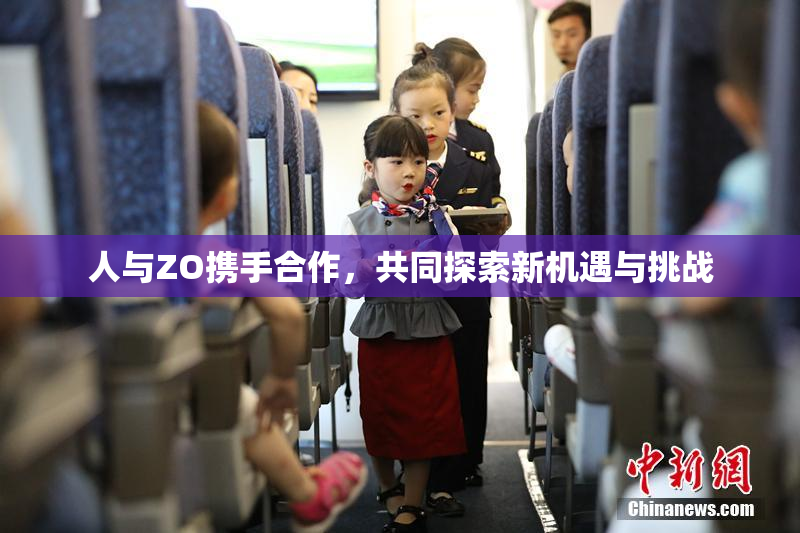 人与ZO携手合作，共同探索新机遇与挑战