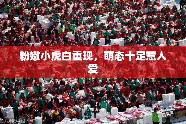 粉嫩小虎白重现，萌态十足惹人爱