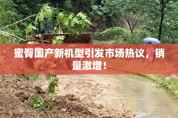 蜜臀国产新机型引发市场热议，销量激增！